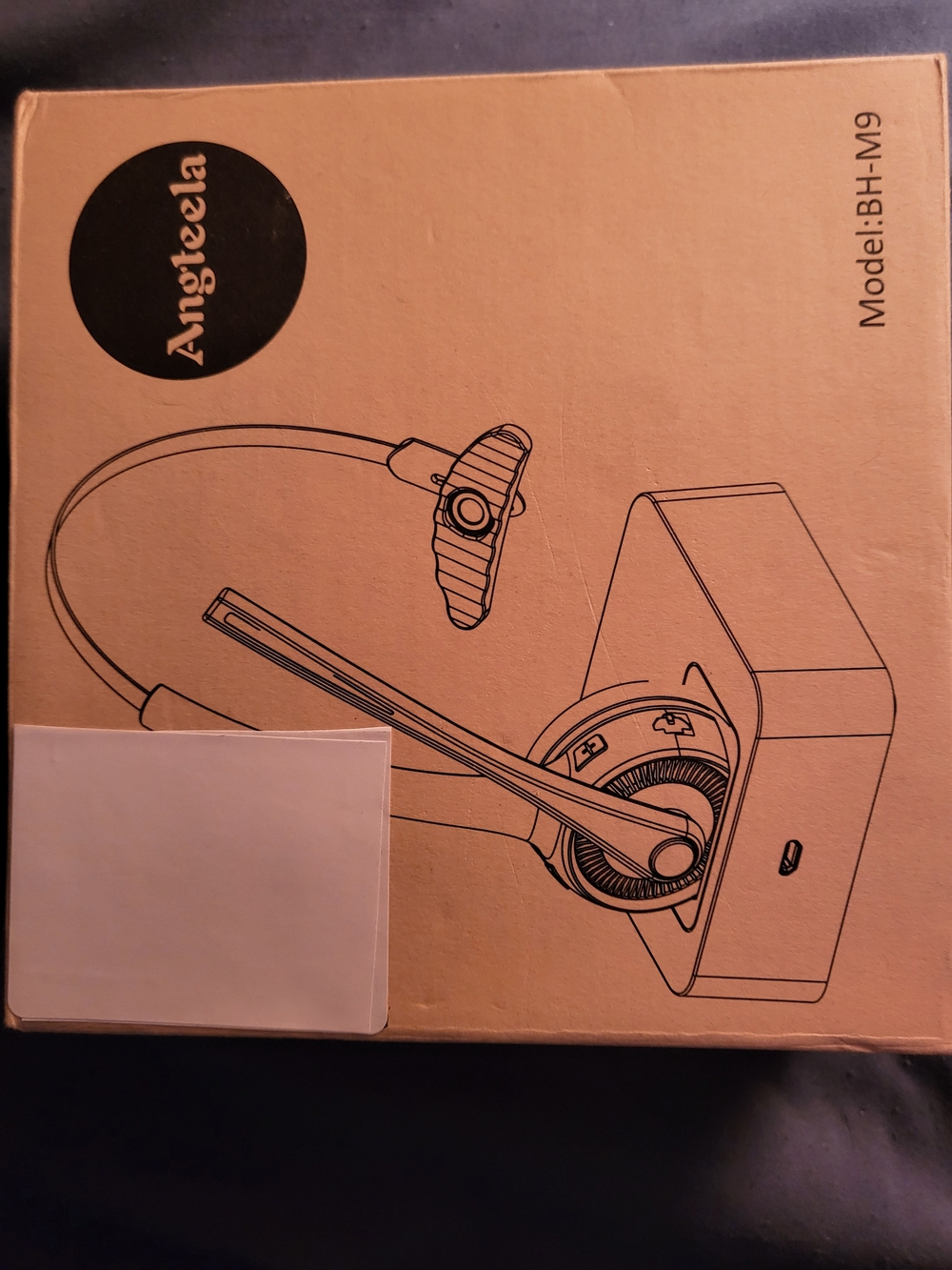 Black On-Ear Headphones with Boom Microphone